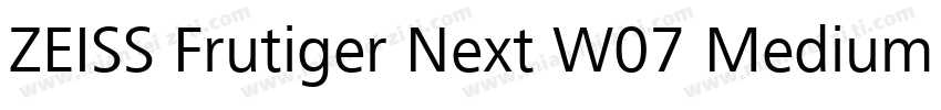 ZEISS Frutiger Next W07 Medium字体转换